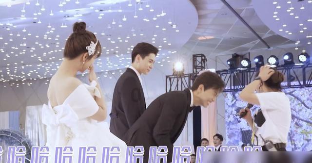网络名人“龙冬”行 | “小冻梨”研学走进飞鹤